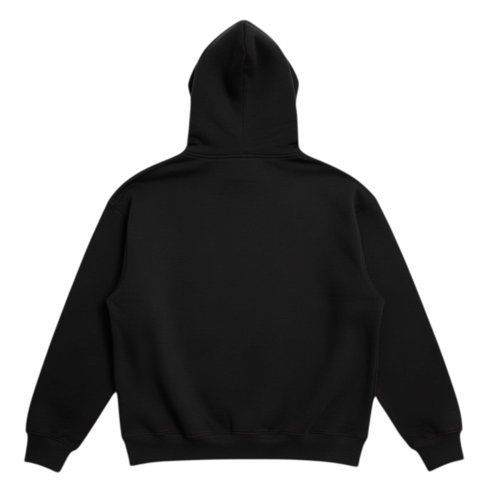 Aslan Mo Hoodie